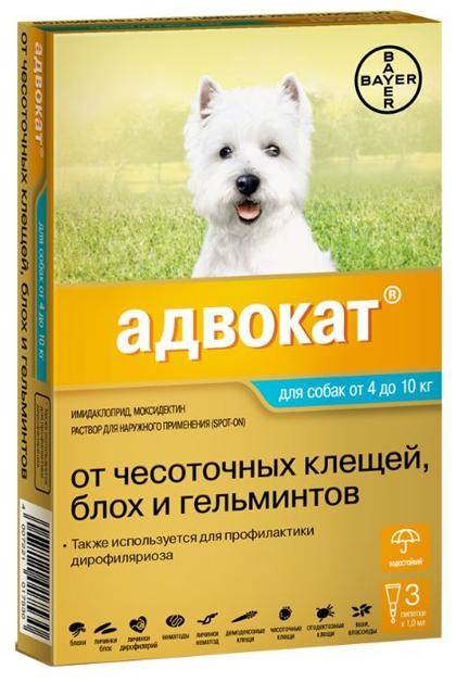 Адвокат