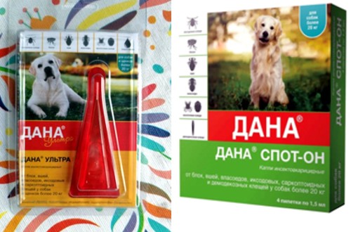 капли Дана