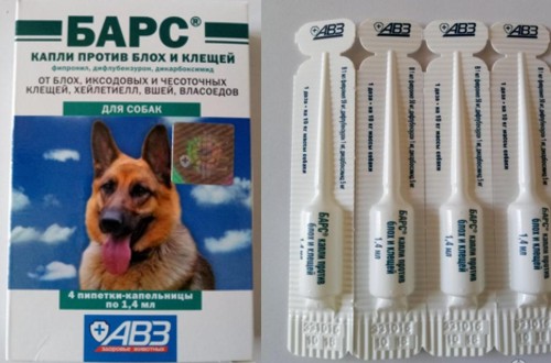 Барс