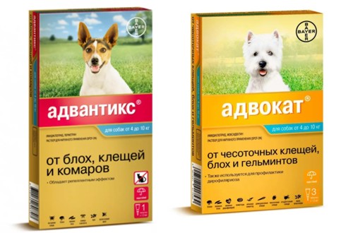 капли Адвантикс и Адвокат