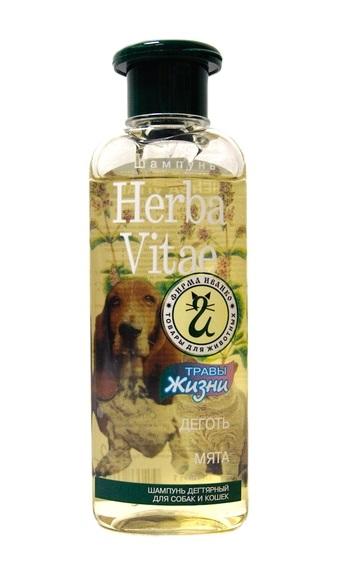 Herba Vitae дегтярный